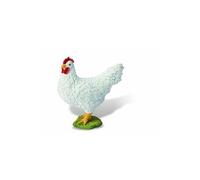 - Poule blanche