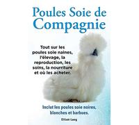Poules soie de compagnie. Tout sur les Poules soie naines, l'élevage, la reproduction, les soins, la nourriture et où les acheter. Inclut les Poules soie noires, blanches et barbues.