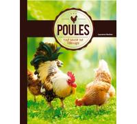 poules, tout savoir sur l elevage