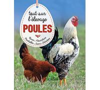 Poules, tout savoir sur l'élevage
