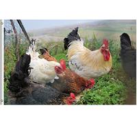 Poulets Poules Au Printemps Ferme Rustique Nature Paysage Drapeau 90X150Cm Suspendre Drapeau De Imprimé Bannières De Pour Maison Accessoires Toutes Les Saisons
