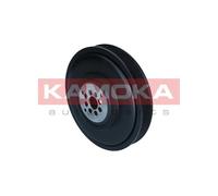 Poulie De Courroie, Arbre À Cames Pour AUDI VW A4 A4 Allroad A5 A6 A6 Allroad A7