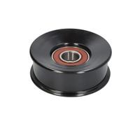 Poulie de déviation/guide, ceinture nervurée en V INA pour XJ 4.2 2003-2009