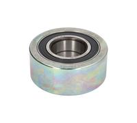 Poulie de déviation/guide, ceinture nervurée en V SKF pour KERAX 11.1 2001-