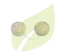 Poulie de lanceur tronconneuses STIHL 064, 066, 08S, 051, 11221950400