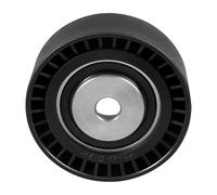 Poulie De Renvoi Tendeur Courroie D'accessoires Pour BMW E46 E36 323i 325i 328i 330i E39 523i 525i 528i 530i X5 3.0i Z4 Remplace 11281748131 Poulie