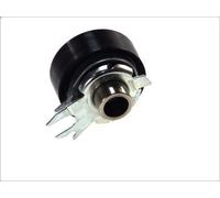 Poulie de tension, courroie crantée INA 531 0525 30 pour POLO (6N2) 1 1999-