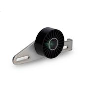 Poulie de tension, courroie trapézoïdale à nervures INA pour KANGOO 1.6 1999-
