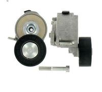 Poulie de tension, courroie trapézoïdale à nervures SKF pour 500L 1.6 2012-