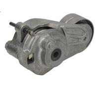 Poulie de tension, courroie trapézoïdale à nervures SKF pour CLASSE S 3 2005-
