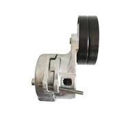 Poulie de Tension de Courroie de Distribution pour Moteur VM 2.5 kit de tendeur de Courroie de Ventilateur et de poulie de Vilebrequin 1025200RAA-BL