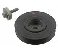 SWAG Poulie (vilebrequin) 60936247 Compatible avec: RENAULT GRAND SCÉNIC II, LAGUNA II, LAGUNA II Grandtour, MEGANE II, MEGANE II Coupé-Cabriolet, MEGANE II Kombi, MEGANE II Stufenheck, SCÉNIC II