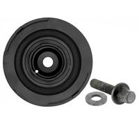 Poulie de vilebrequin DPF350.05K1 SNR pour ROVER LAND ROVER