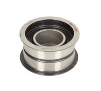 Poulie renvoi/transmission, courroie crantée INA 532 0054 10 pour V8 3.6 1988-