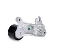 INA – Galet tendeur de courroie de distribution – 532 0999 10 – pour Volvo XC70 II