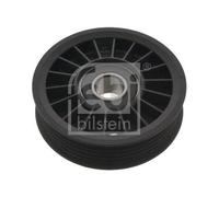 Poulie Renvoi/transmission Courroie Trapézoïdale À Nervures Febi Bilstein 17074