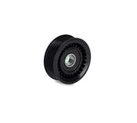 INA Galet enrouleur de courroie d'accessoire 532 0336 10 – pour Saab, Renault, Opel
