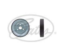 Gates Galet tendeur DriveAlign T36831