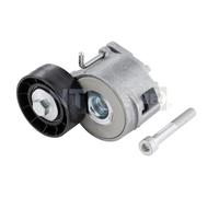 SNR GA358.07 Poulie, tendeur de courroie d'accessoire