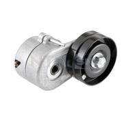 SNR GA385.00 Poulie, tendeur de courroie d'accessoire