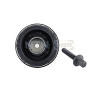 Poulie Vilebrequin Snr DPF350.01K1 pour Bmw