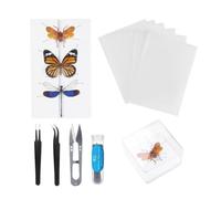 Poulityers Kit d'entomologie Set Complet de Conservation avec vitrine | Kit enfant explorateur avec outil à spécimen d'araignée pour cigale chenille demoiselle araignée salle de classe