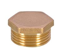 Poupangke Bouchon de tuyau, Bouchon de tuyau fileté,Bouchon de tuyau de connecteur NPT galvanisé | Bouchon de porte, bouchon de tuyau d'eau, adaptateur de tuyau, raccord de bouchon de fermeture pour