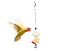 Poupangke Mangeoire pour cage à oiseaux, support de nourriture pour perruches, distributeur de nourriture en acier inoxydable, jouet pour petits animaux, brochette de fruits et légumes