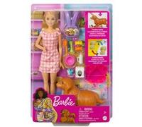 Barbie - Coffret naissance des chiots - Poupée mannequin - Dès 3 ans HCK75