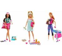 Poupée Barbie Wellness GKH73 TV 1.4. - 30.6.2020