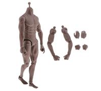 Poupée Corporelle Pour Homme, Jouets Pour Modèle De Sculpture De 12 Pouces, Échelle 1:6