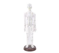 Poupée D'acupuncture 52cm/20,47 Pouces, Modèle D'acupuncture du Corps Humain, Mannequin D'acupuncture Mâle/femelle, Points de Pression, Modèle D'acupuncture avec