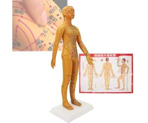 Poupée d'acupuncture pour l'enseignement de la médecine chinoise (54 cm), avec aiguilles intégrées, facile à déplacer, avec livret/affiches murales des points d'acupuncture,B