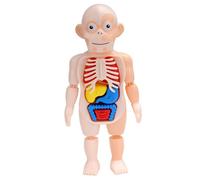 Poupée D'Anatomie Modèle De Corps De Torse Humain, Corps D'Anatomie, Organes Internes Médicaux Pour L'Enseignement, Poupée Éducative À Assembler