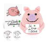 Poupée de cochon porte-bonheur Pocket Hug Jouet - Cadeau positif en allemand - Petit cochon - Un excellent cadeau pour la famille et les amis - Mini Pocket Hug Positif avec 1 porte-bonheur