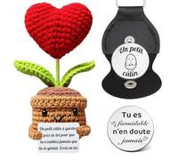 Poupée de Soutien Émotionnel - Fleurs En Pot D'Amour Tricotées À La,Cadeaux De Motivation Pour Câlins De Poche,Fleurs En Pot Tricotées Avec Cœur En Crochet,Cadeau Positif et Motivant Femme Ou Couple