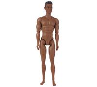 Poupée homme 1/6 de 35 cm de hauteur, multi-articulations mobiles, blanc/normal/brun clair (peau bronzée)