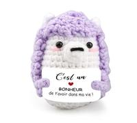 Poupées de Hérisson Positive en Français, Pocket Hug Hérisson Positif au Crochet avec Porte Clés, Cadeau Original & Amusant, Drôle Cadeaux pour Femme Enfant Collègue, Poupée de Soutien Émotionnel
