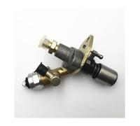 Pour 165F 170F 178F 186F 188F 178FA 186FA 188FA 190F 192F 186FD Injecteurs De Carburant Pièces De Rechange Générateurs Électriques Pompe Carburant(190f)