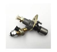 Pour 165F 170F 178F 186F 188F 178FA 186FA 188FA 190F 192F 186FD Pompe D'injection Carburant Générateur Électrique Pièces Rechange Pompe Carburant(165f)