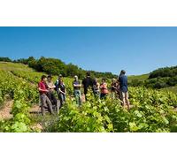 Pour 2 pers. : atelier oenologique de 2h30 au 250 Route de Couteron à Aix-en-Provence