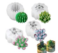 pour 3D pour succulentes - Moule en silicone pour aromathérapie de succulentes, outil pour la création artisanale de intérieurs lisses pour préparer le dessert, ca