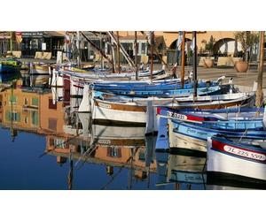 Pour 5 pers : Escapade Provençale avec Guide-chauffeur (Sanary-sur-Mer Le Castellet Domaine Viticole + Dégustation)