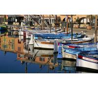 Pour 6 pers : Escapade Provençale avec Guide-chauffeur (Sanary-sur-Mer Le Castellet Domaine Viticole + Dégustation)