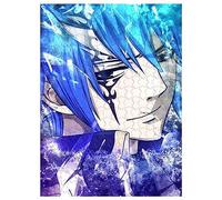 pour Adulte, Puzzle en Bois 1000 pièces, décoration de la Maison, Fairy Tail Jellal Fernande75 * 50cm