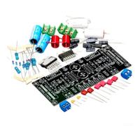 pour ampli Stéréo 100W+100W Kit DIY Pour Enceintes pour ampli(Full Accessories)