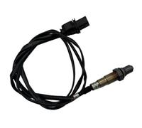 Pour BMW Pour X3 3.0L 2007-2010 Unité Détection Lambda Voiture