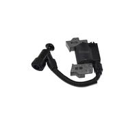 pour Bobine d'allumage pour tondeuses à Gazon Einhell BG-PM 46/3 S/BG-PM 40 pièces de Jardin