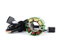 Pour bobine de stator KX 250F RMZ 250 pour KX250F 2004-2010 pour Suzuki RMZ250 2005 2006 bougie d'allumage