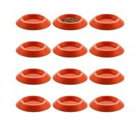 pour Cafards - Conteneur Insectes, Stable À Faible Profil, Station Nutritive Profonde | Accessoire Vivarium Arachnidi, Manilles, Coléoptères, Élevage